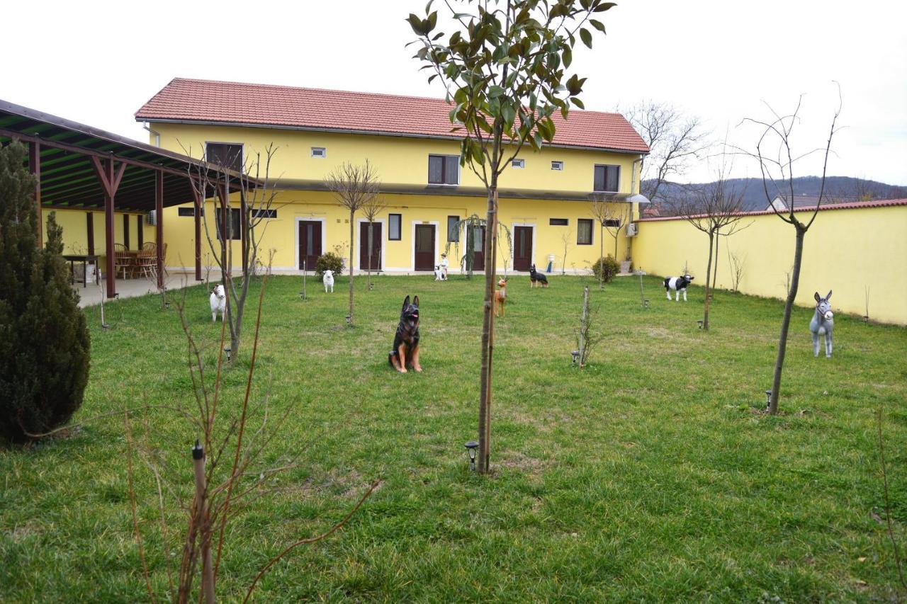 Casa Simescu II Hostel Caransebes Exterior photo